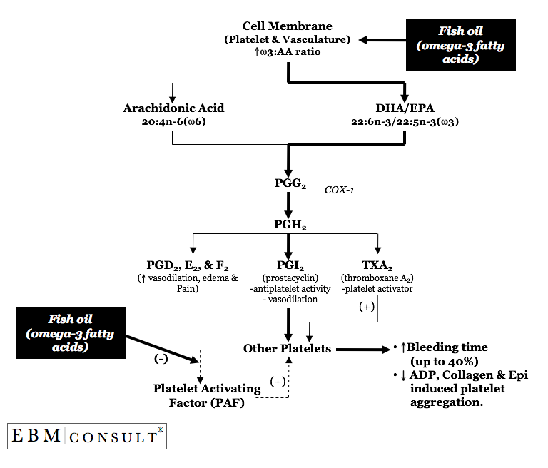 The Mechanism for How Omega3 Fatty Acids (Fish Oil) Could Increase the